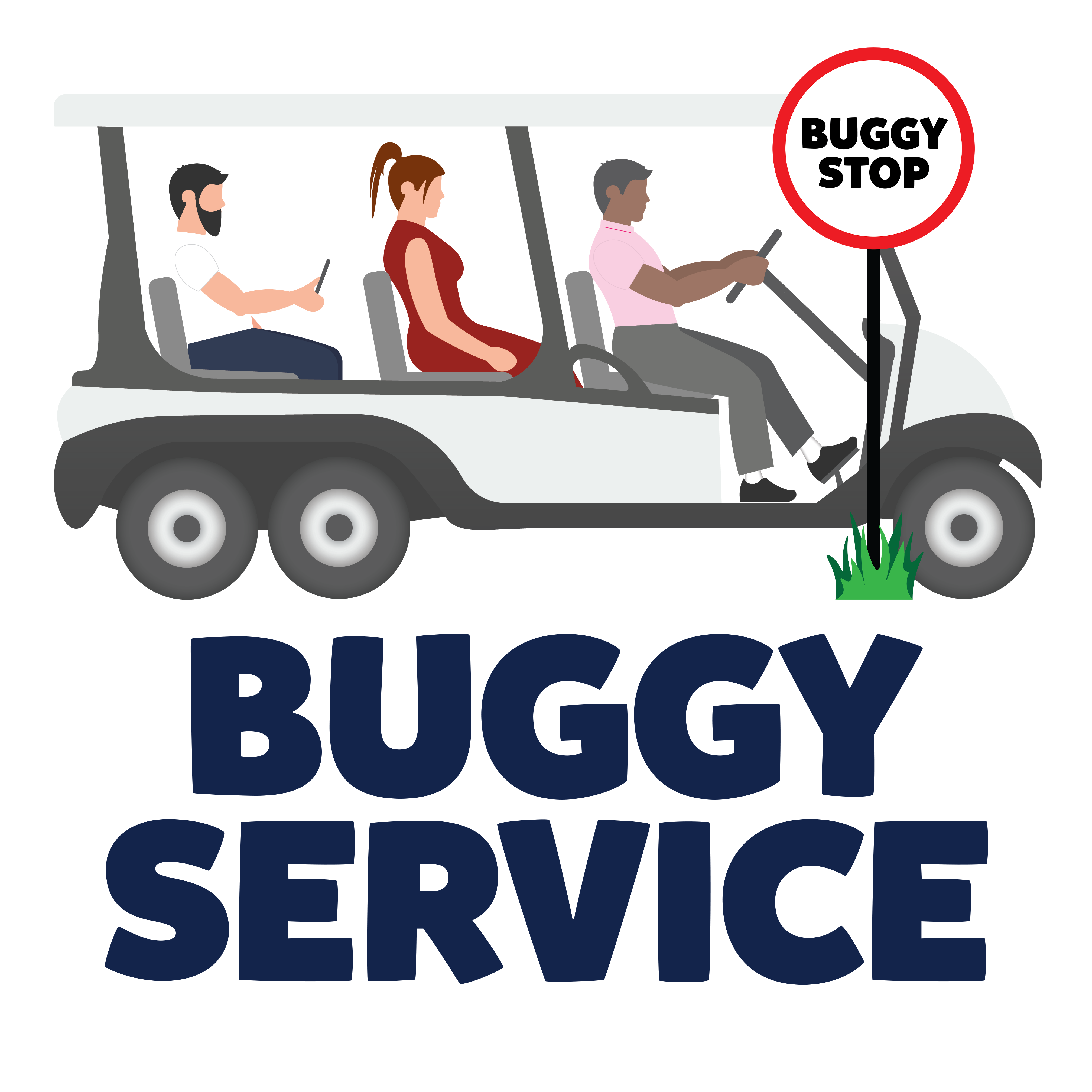 Buggy Runs