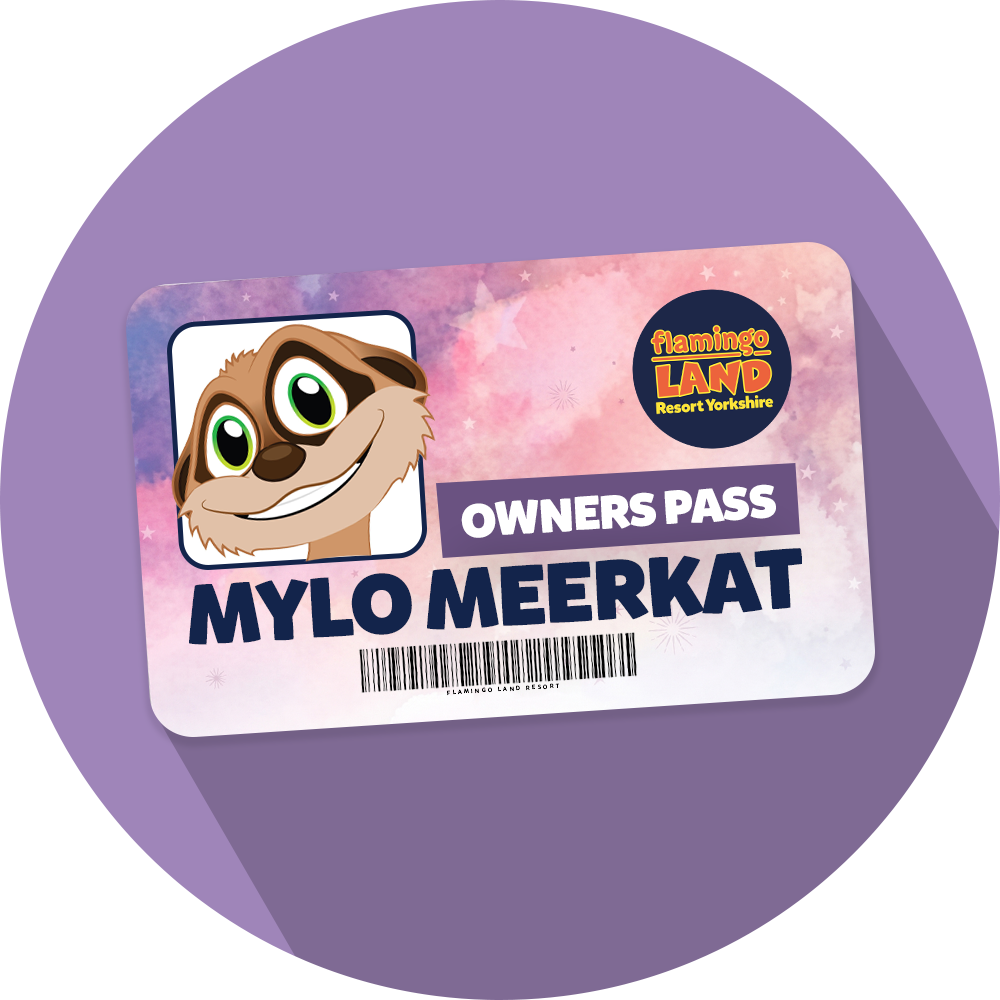 Additional Passes